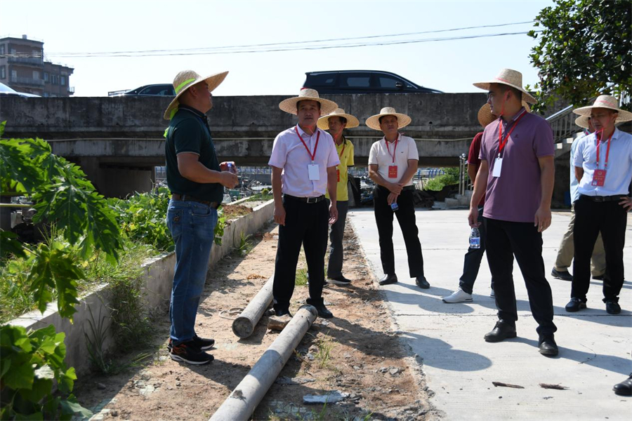 （人大代表們聽取新建村支部書記匯報(bào)新建村沿岸道路硬底化項(xiàng)目建設(shè)情況）.jpg