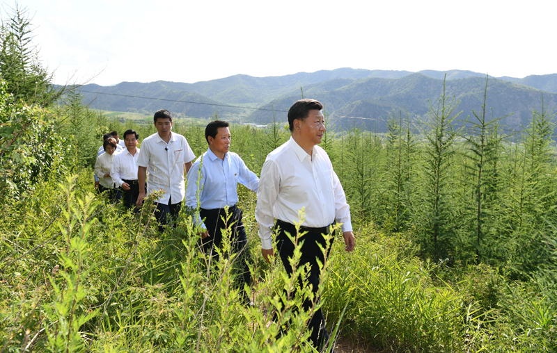 7月15日至16日，中共中央總書記、國(guó)家主席、中央軍委主席習(xí)近平在內(nèi)蒙古考察并指導(dǎo)開(kāi)展“不忘初心、牢記使命”主題教育。這是15日下午，習(xí)近平在赤峰市喀喇沁旗馬鞍山林場(chǎng)林區(qū)，沿著崎嶇的護(hù)林小道察看林木長(zhǎng)勢(shì)。