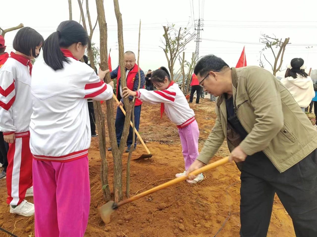 楊柑鎮(zhèn)人大：代表履“植”添新綠 綠美家園齊共建